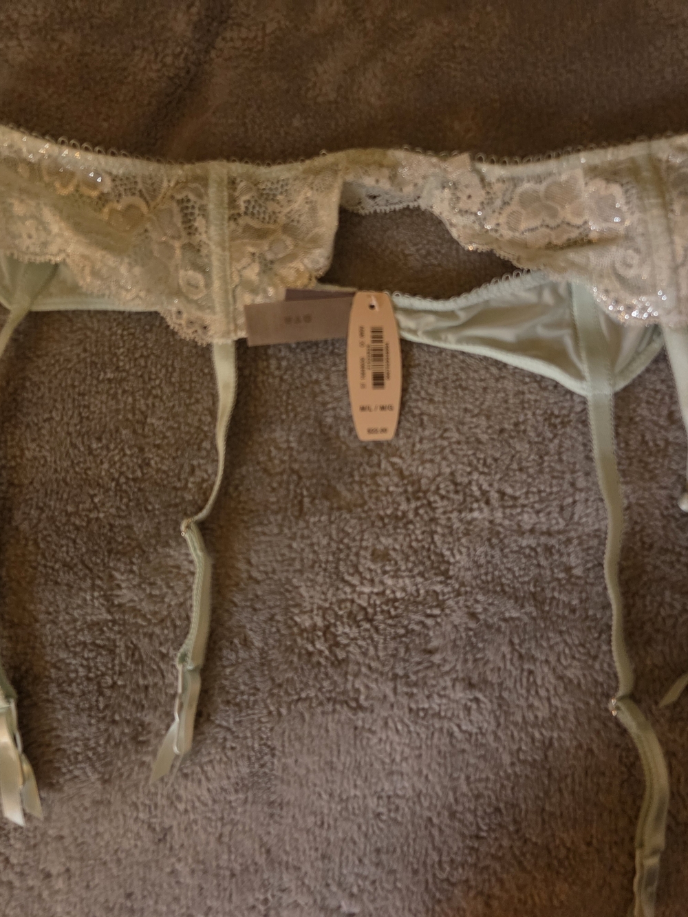 Delicate Lace Garter Belt in Pale Mint